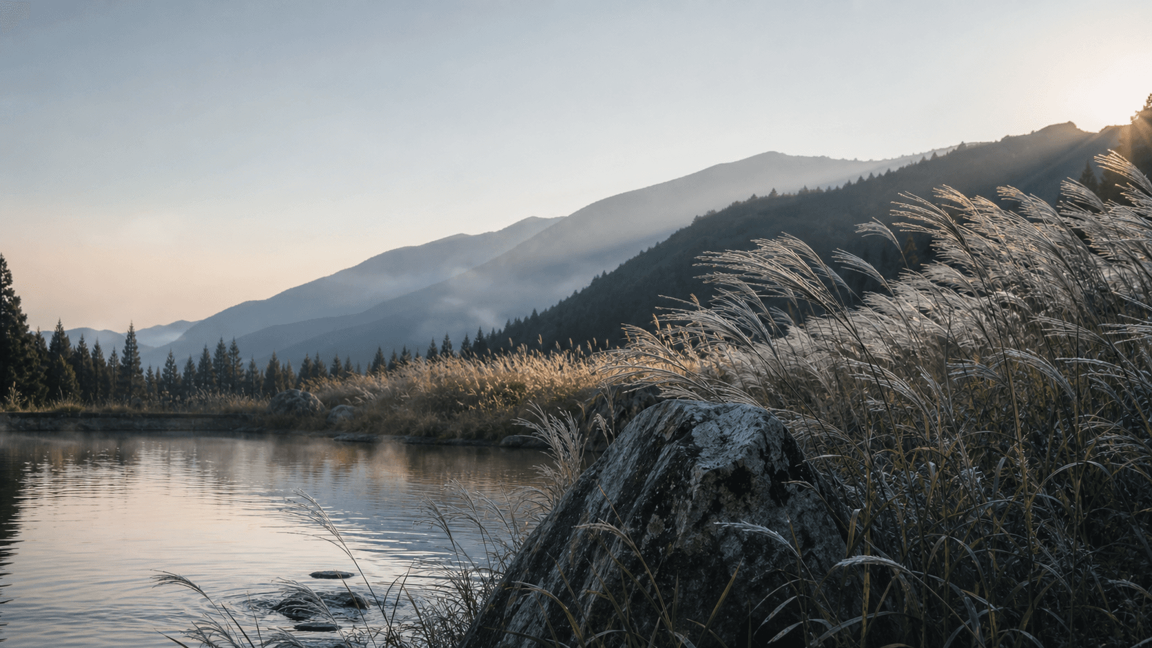 Silver grass, still water, and mountains in the morning light